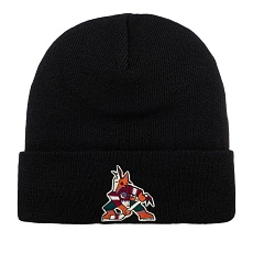 ШАПКА AMERICAN NEEDLE NHL PHOENIX COYOTES SR 21019A-PCO