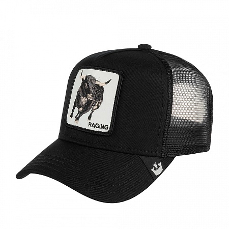 БЕЙСБОЛКА GOORIN BROTHERS RAGING SR 101-0211