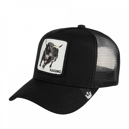 БЕЙСБОЛКА GOORIN BROTHERS RAGING SR 101-0211